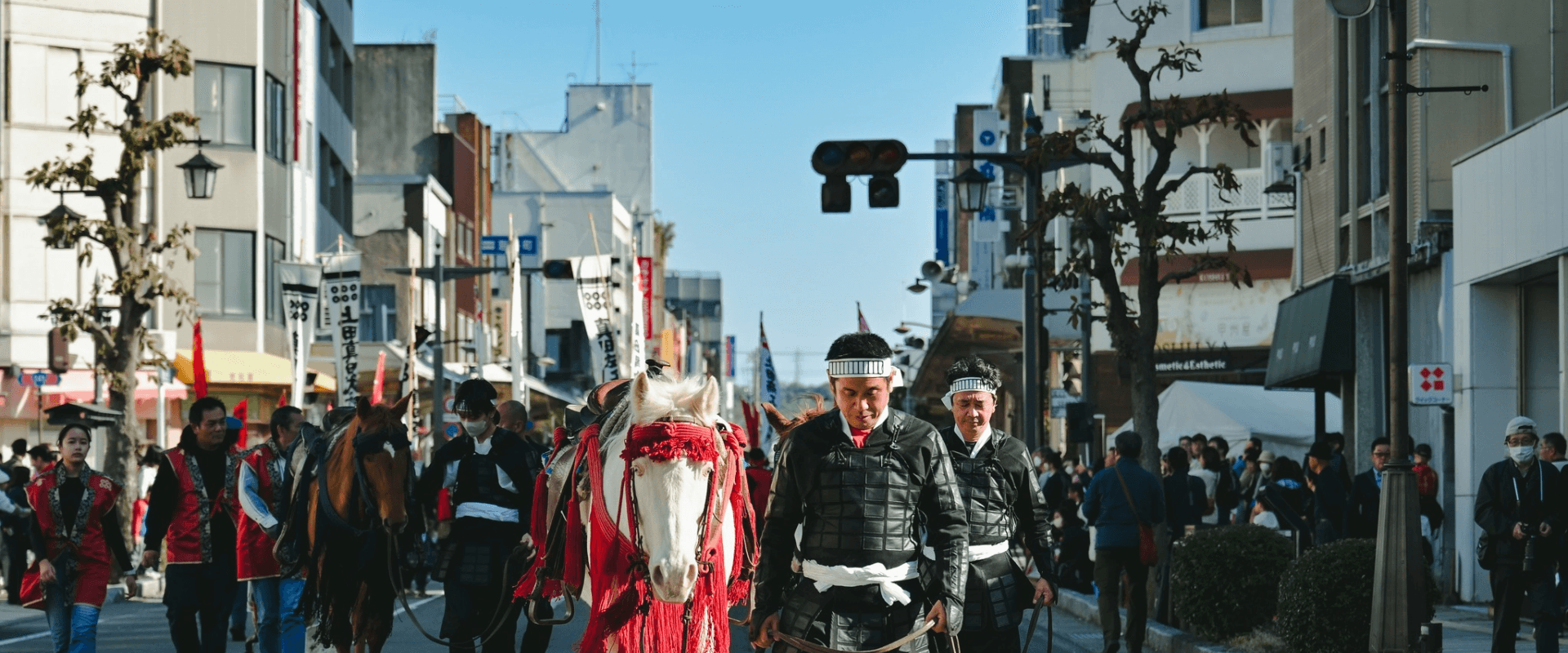 美しい自然の中にいる馬